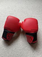 Boxing Handschuhe 10oz
