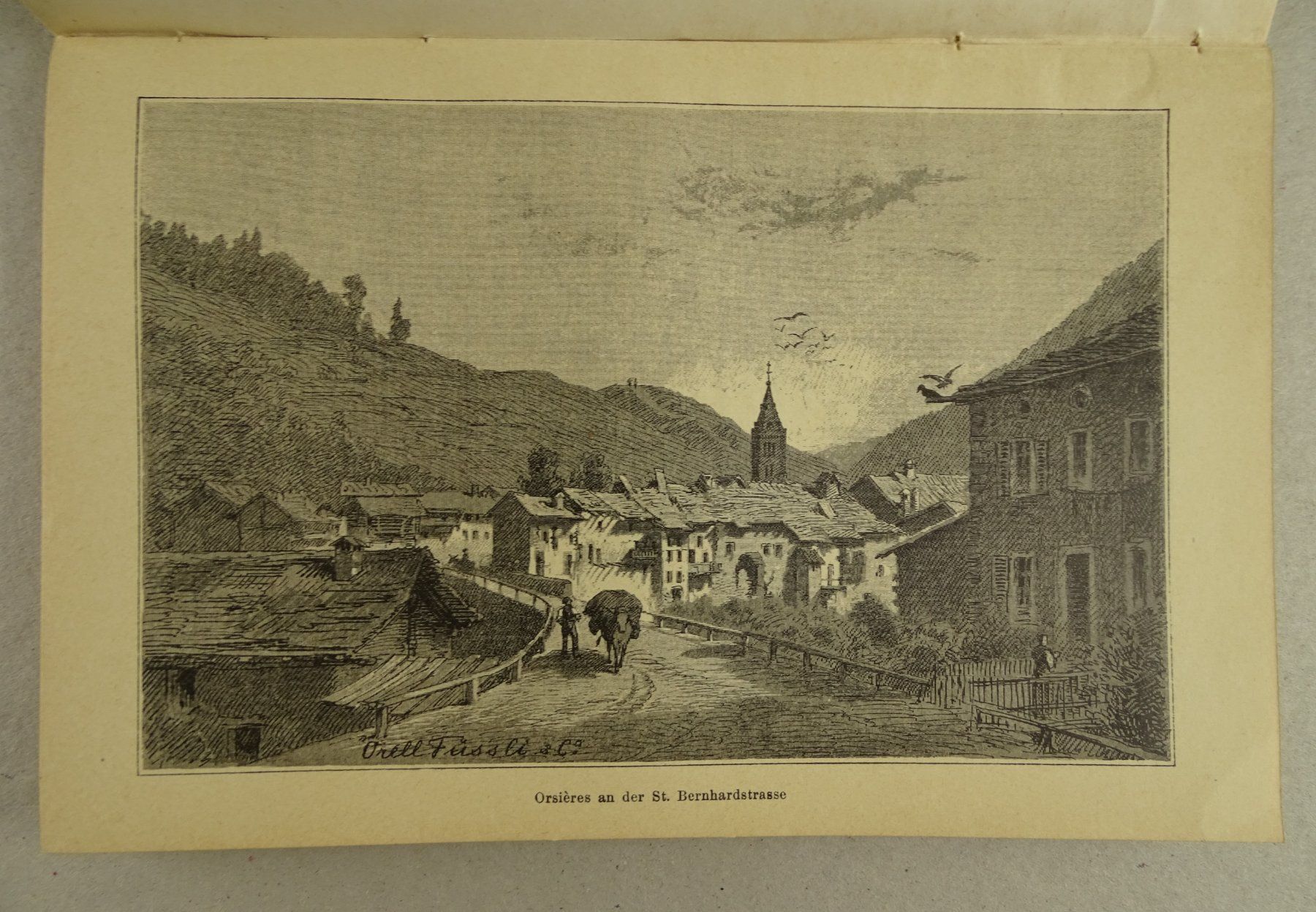 Libri: MARTINACH & DRANSETHÄLER, MARTIGNY, WALLIS, WANDERBILDER – Usato da Grüningen venduto da Kartensammler 4