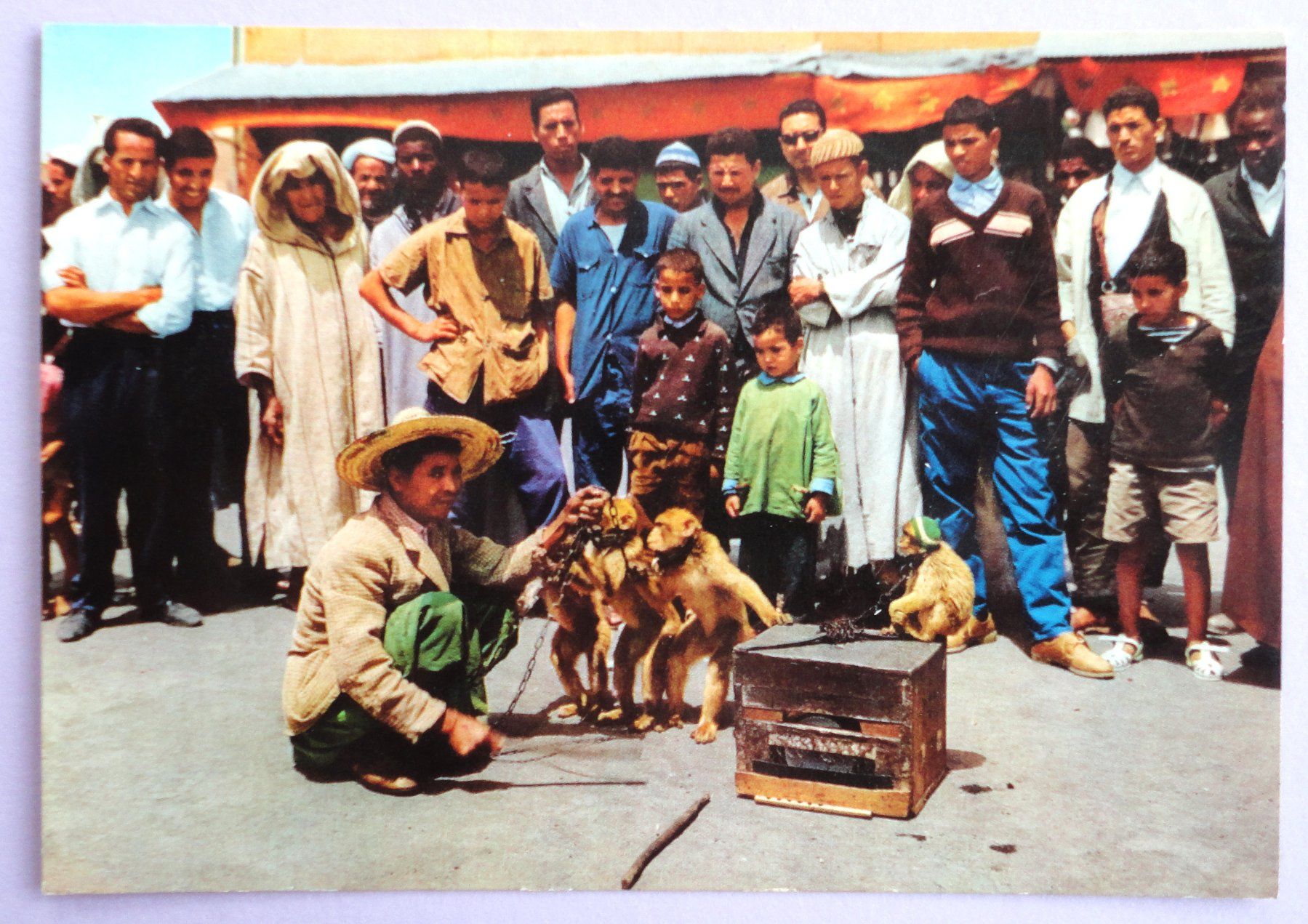 Cartoline postali: Maroc pittoresque, Dresseur de singes – Usato da Fétigny venduto da Billy2miny
