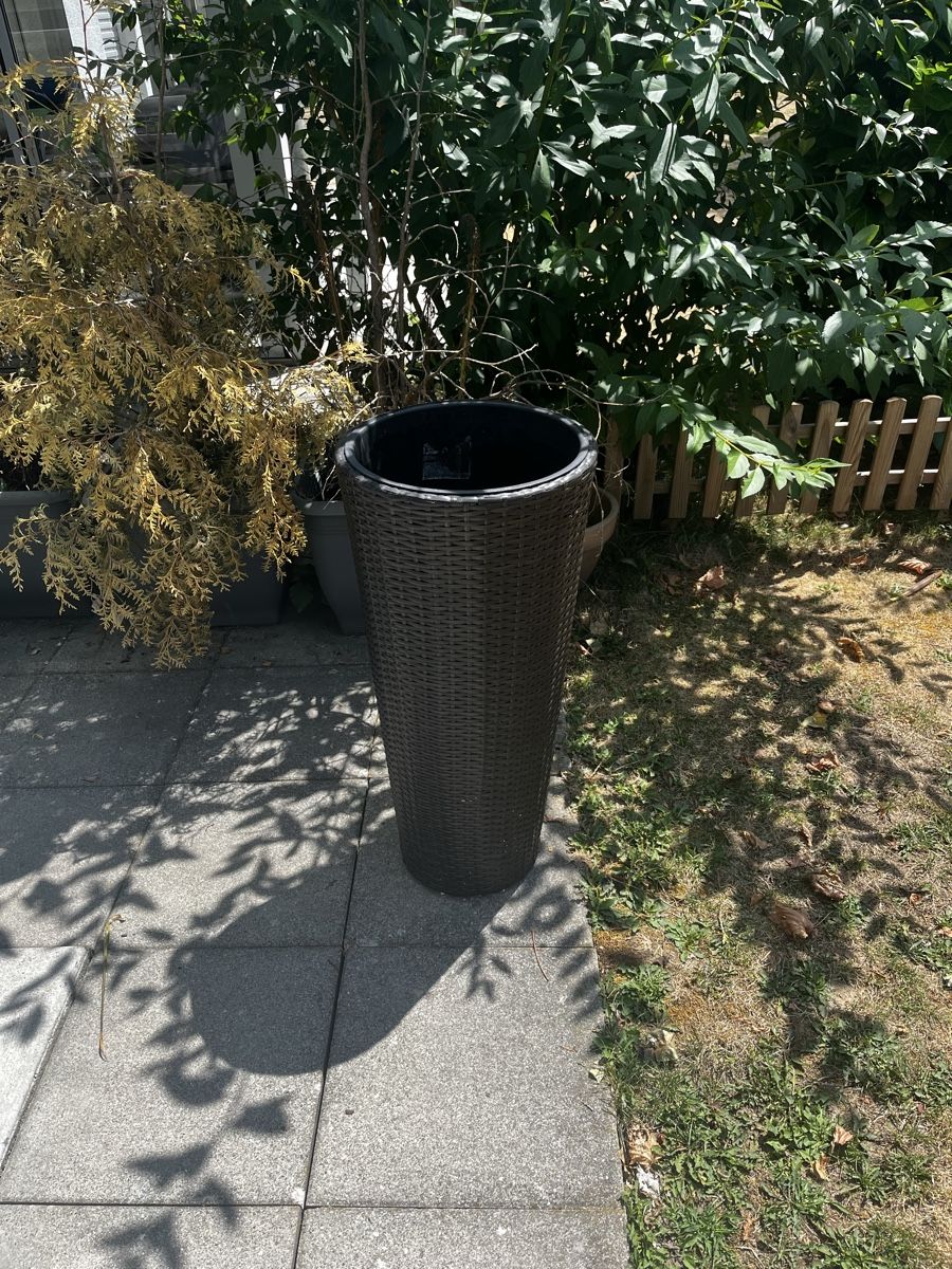 Vasi per fiori: Blumentopf Rattan – Usato da Lohn-Ammannsegg venduto da Whis 1