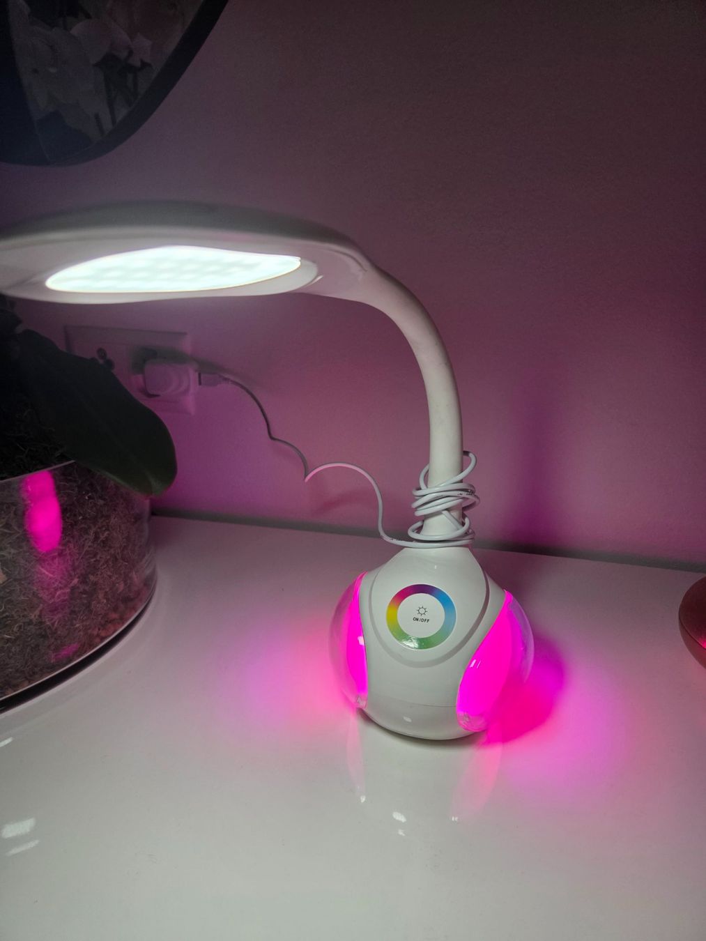 Lampade: Tisch Lampe Led – Usato da Kloten venduto da Senolf 2