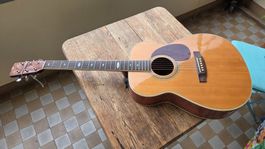Akustikgitarre Segovia Session Series Modell SF47B