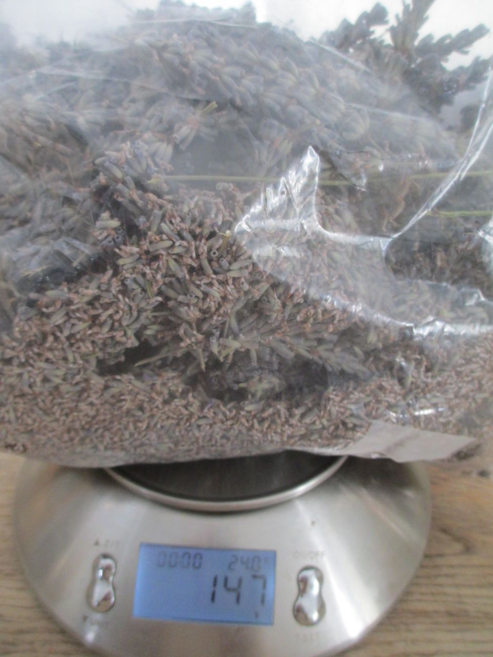 Piante & sementi: Lavendel getrocknet ca. 148gr – Nuovo (secondo la descrizione) da Hasle LU venduto da Flamme6