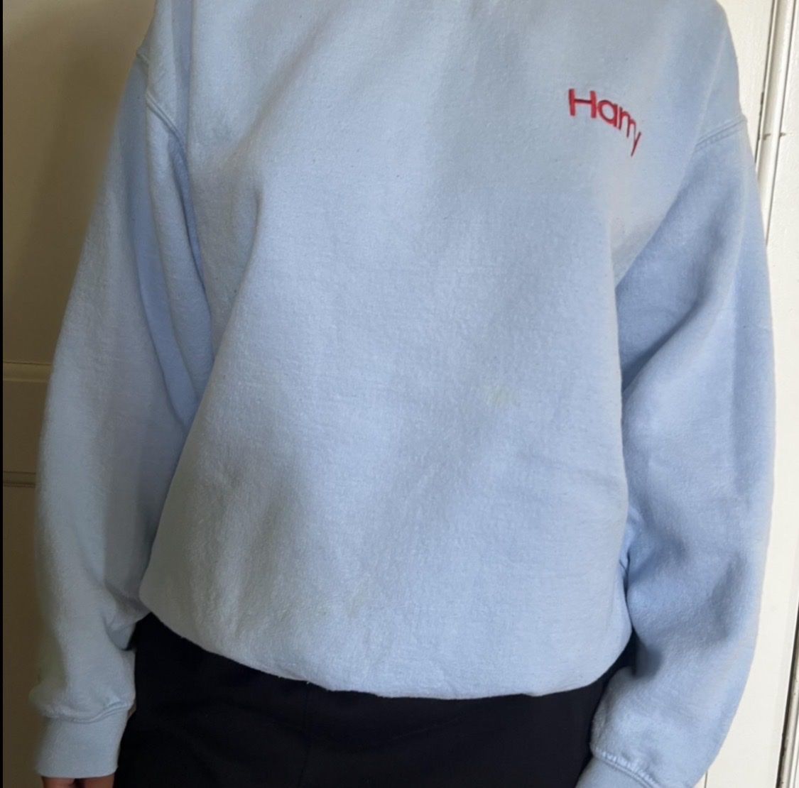 Pulls & Sweat-shirts: Harry Styles Merchandise Sweater – Neuf (Voir description) à Rüschlikon par mel_5j6z 1