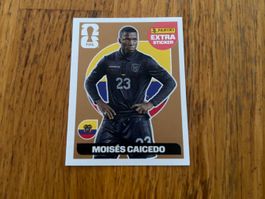 🥉 Panini WM 2026 Moisés Caicedo Extra Sticker Bronze 🥉