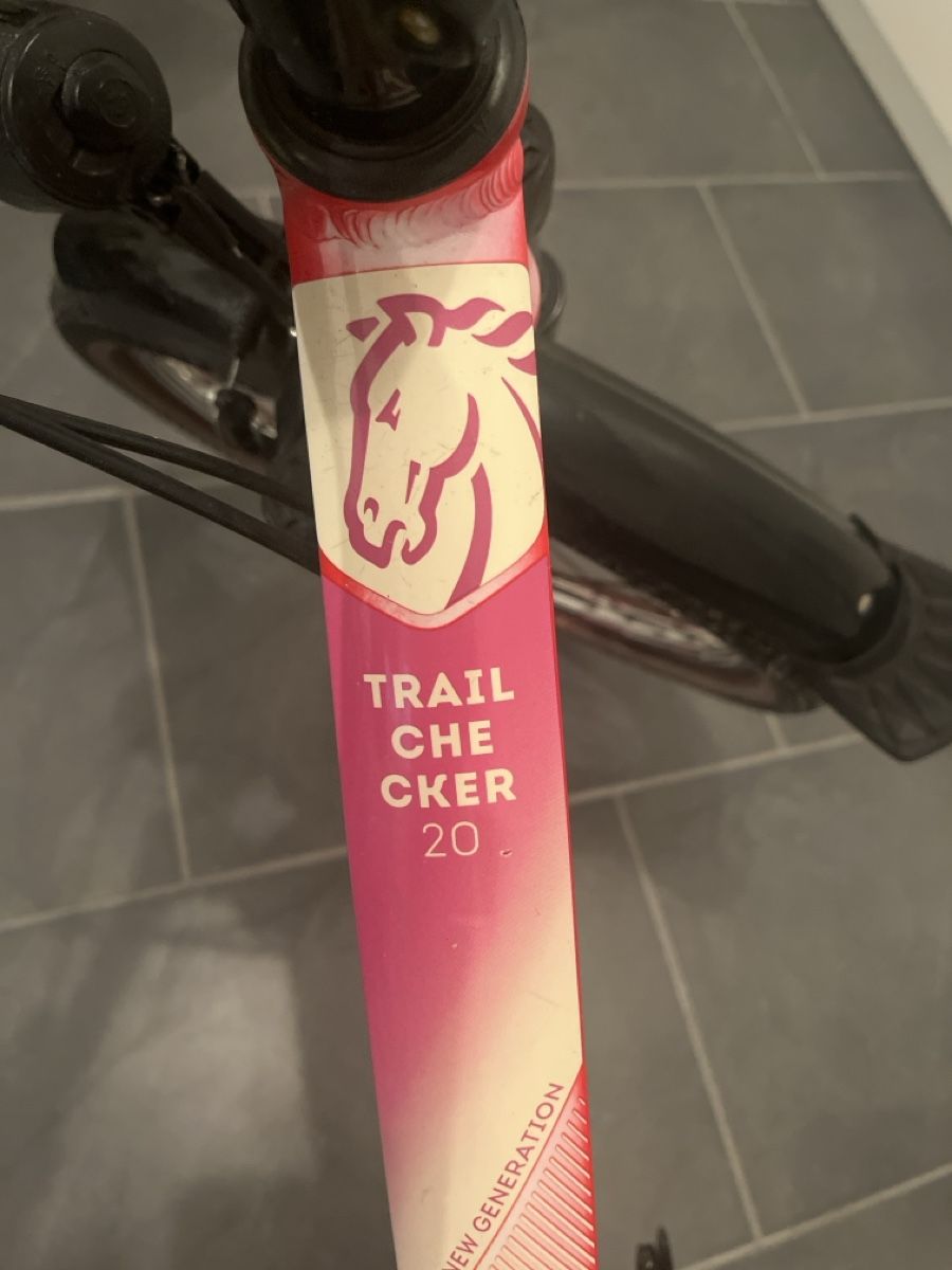Biciclette: Kinderfahrrad Trail Checker rot rosa mit Licht – Usato da Buchs AG venduto da Wunderstrasser 1