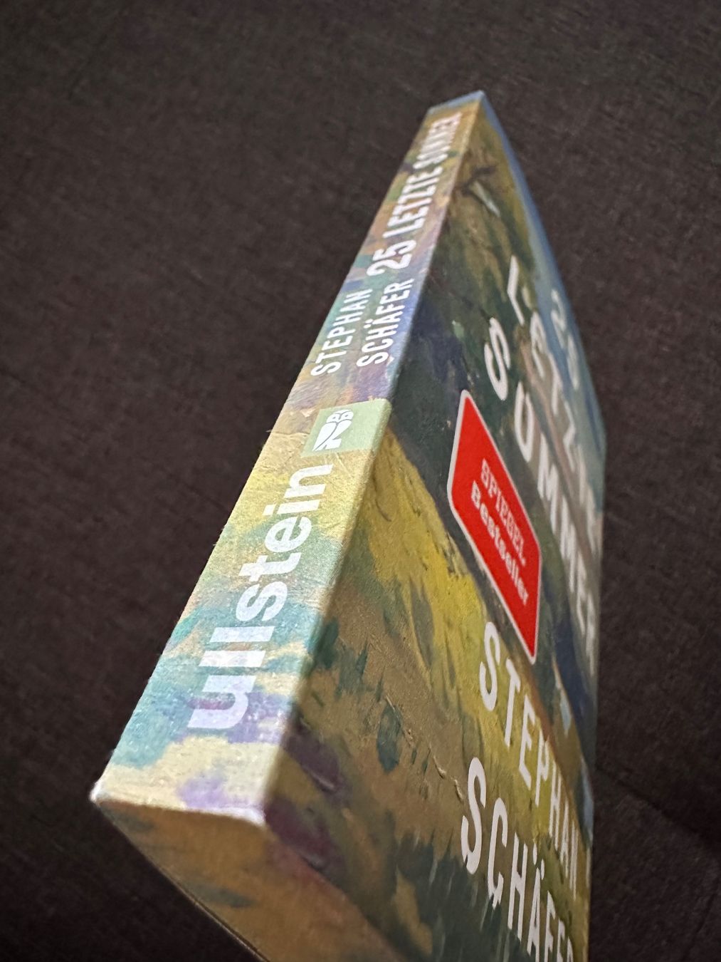 Livres: Stephan Schäfer - 25 letzte Sommer – D'occasion à Meggen par Lonny 3