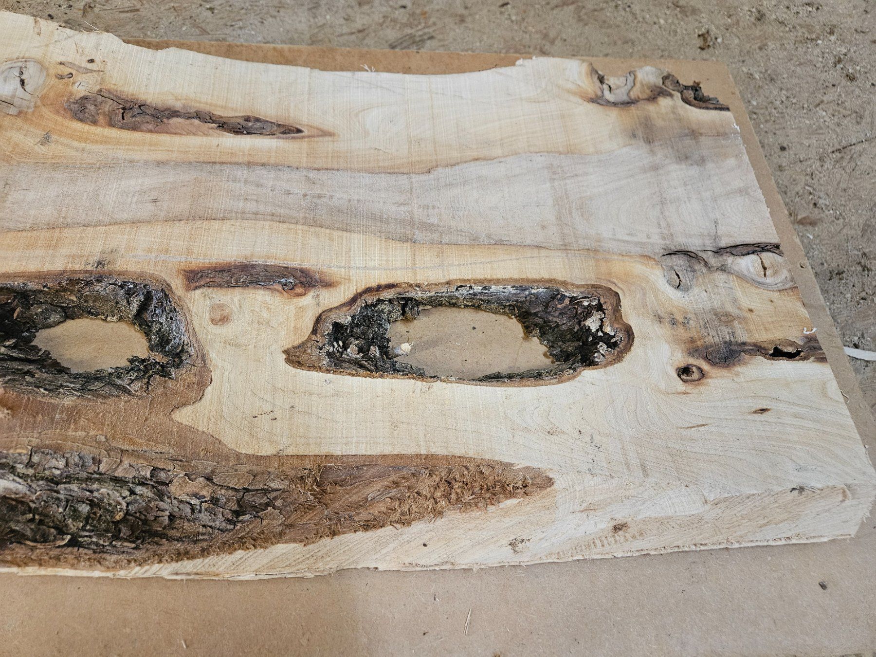 Articoli in legno: Ulmen Holzbrett – Nuovo (secondo la descrizione) da Schangnau venduto da egli6.2 2
