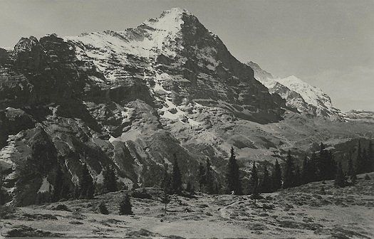 Ansichtskarten: GRINDELWALD Bussalp – Neu (gemäss Beschreibung) aus Jona von philajona