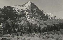 GRINDELWALD Bussalp