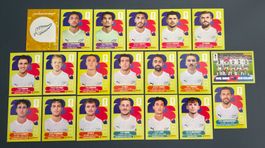 New Zealand / Neuseeland (NZL) Komplett! - Panini WM 2026