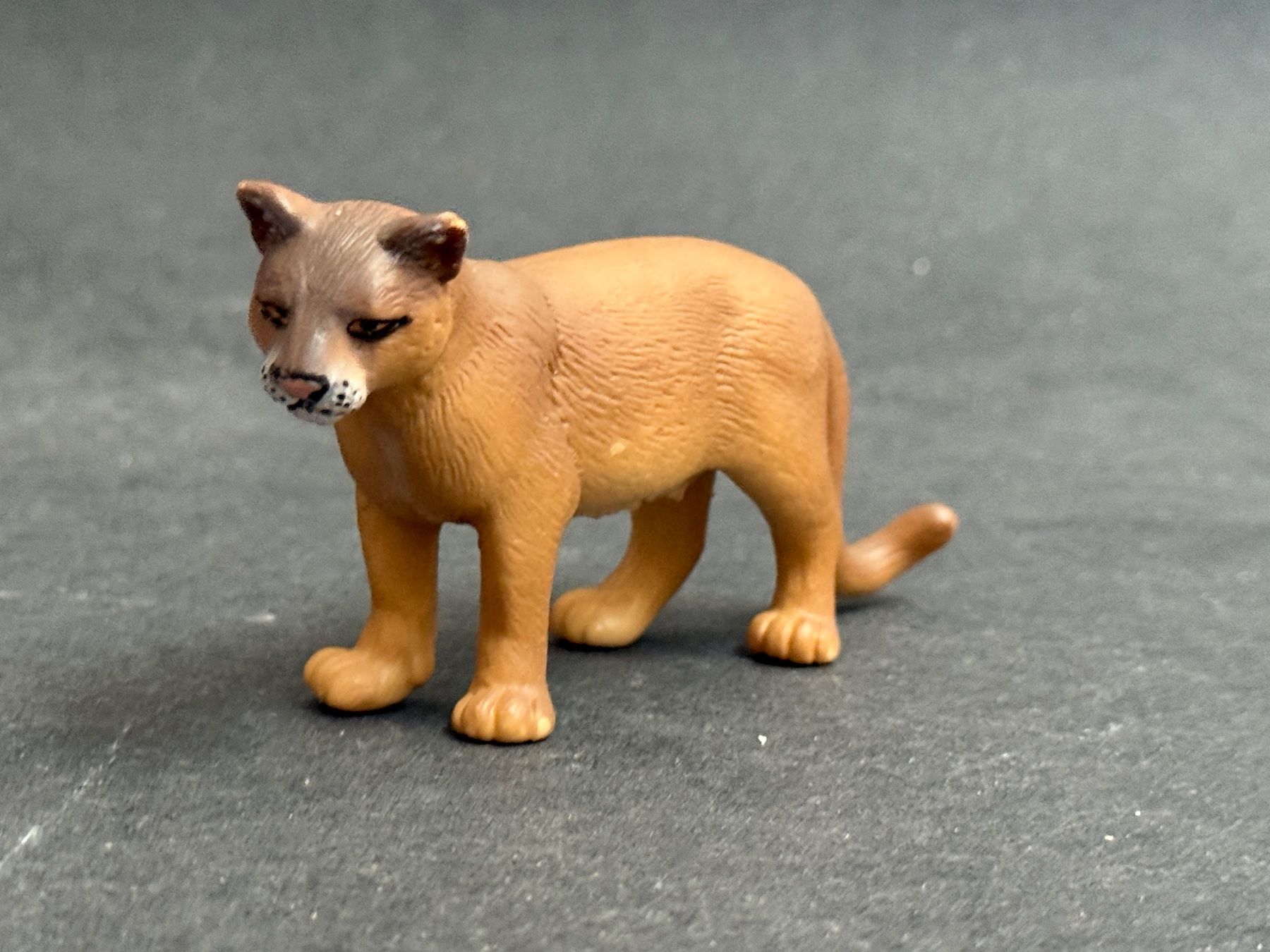 Schleich Figuren: Schleich Puma 14164 – Gebraucht aus Ennetbaden von mapa05 1