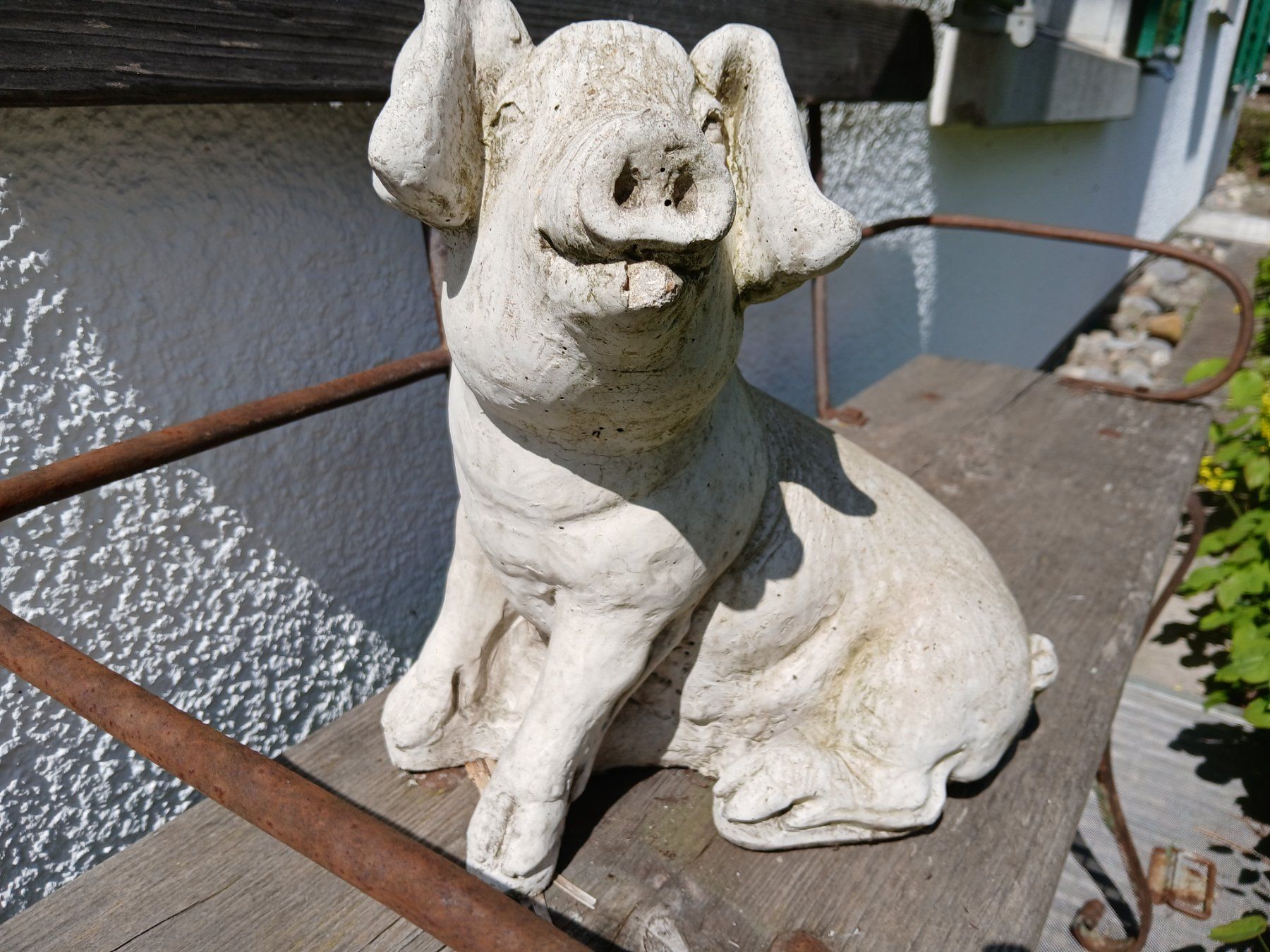 Sculture & Statue: Schwein Gartenskulptur gegossen – Usato da Zumikon venduto da Vollvintage 5