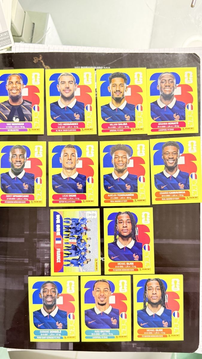 Panini Cartes à collectionner: Panini FRA  – Neuf (Voir description) à Oberhasli par Alanickal 1