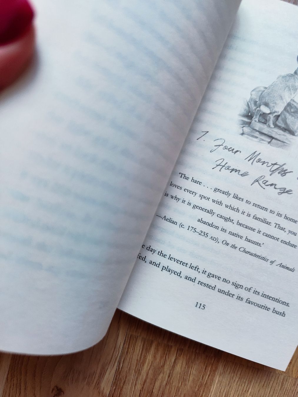 Bücher: Raising Hare by Chloe Dalton Book – Gebraucht aus Mägenwil von VintageGirly 3