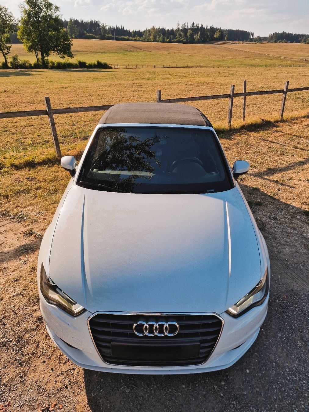 Audi Autos: Audi A3 Cabriolet 1.4 TFSI 2014 – Gebraucht aus Bremgarten AG von LAKE95 3
