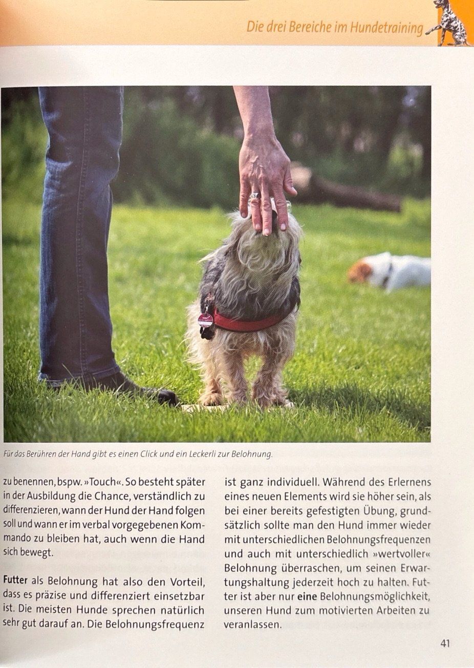Libri: Hunde spielend motivieren – Nuovo (secondo la descrizione) da Sarnen venduto da Livres 6
