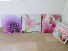 4 bedruckte Leinwandbilder