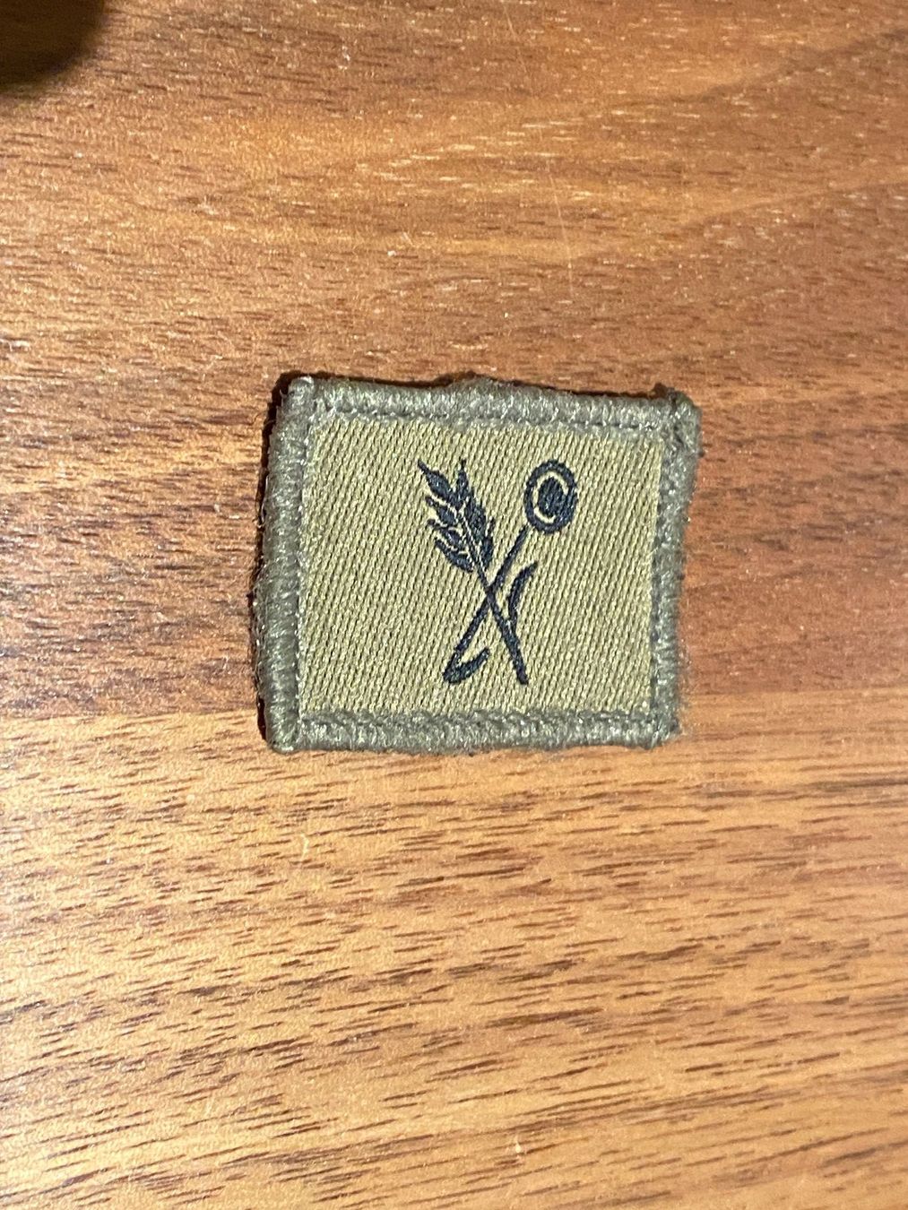 Schweizer Armee Placchette & Badge: Funktionsabzeichen Klett, Armee Küche – Usato da Sursee venduto da Engel19