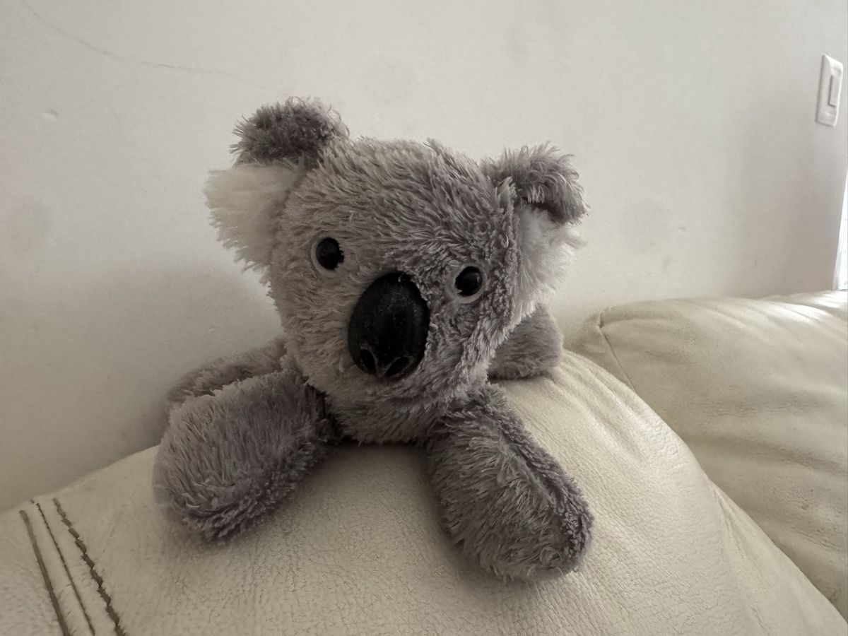 Giocattoli: Plush Koala Aurora toy good condition 
40 – Usato da Wohlen AG venduto da bongo8nunu