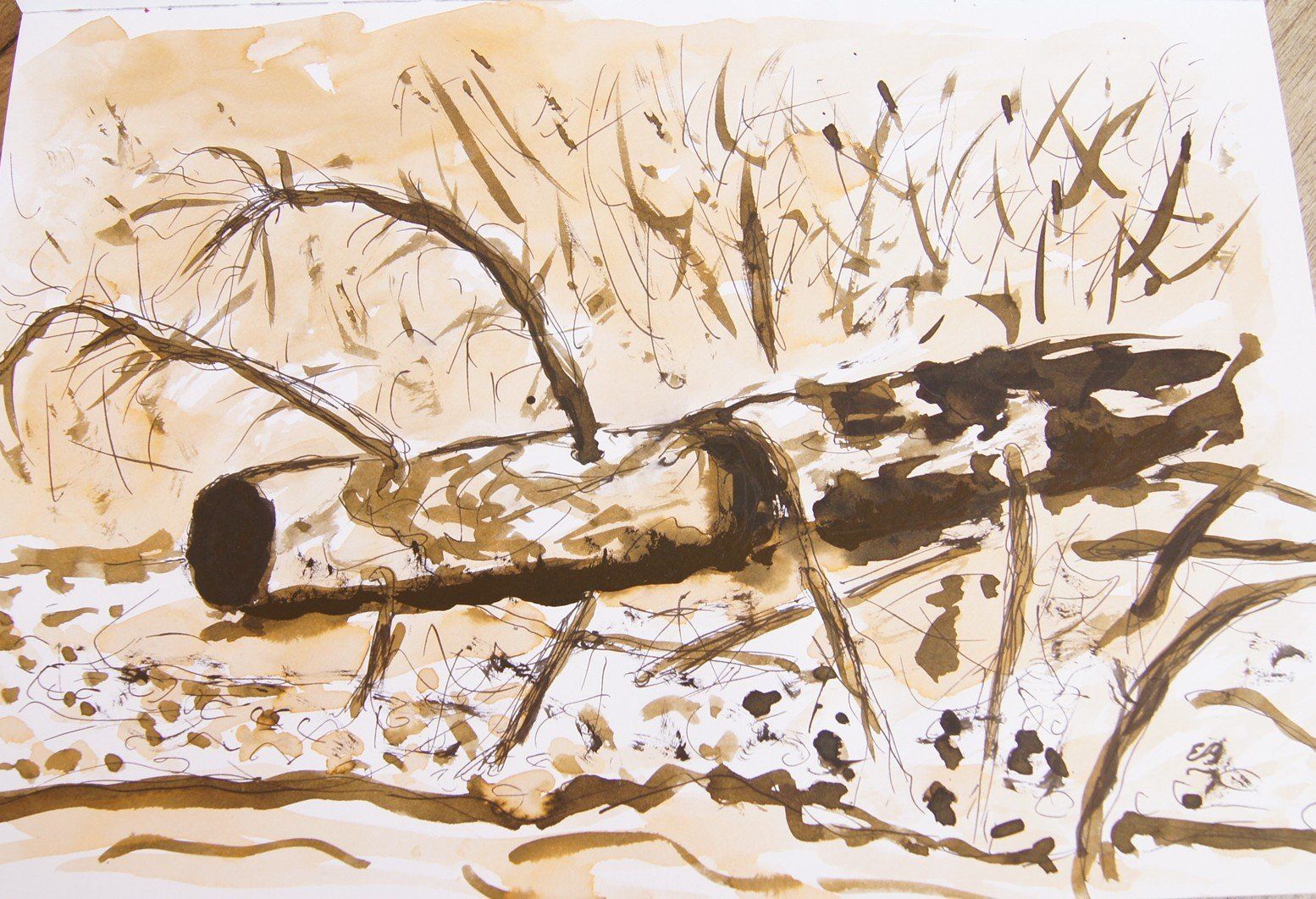 Dipinti: Zeichenbuch: Aquarelle, abstrakt, Tiere... – Usato da Fribourg venduto da erw_68dx 3