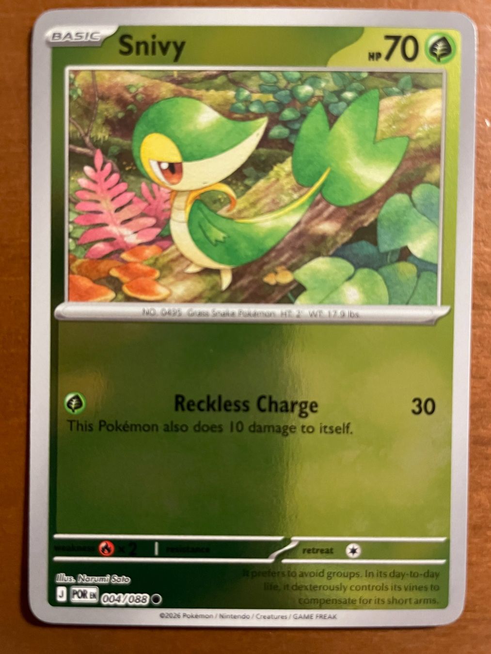 Pokémon Sammelbilder & Trading cards: Pokemon Snivy Reverse (Versand gratis) – Neu (gemäss Beschreibung) aus Chur von Angerson