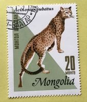 Briefmarken aus  Mongolei gestempelt  Siehe Original Fotos. 