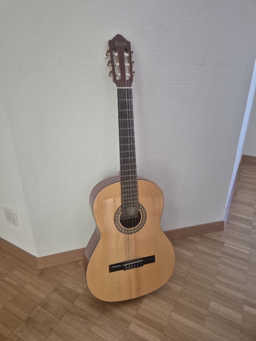 Strumenti musicali: Classical Guitar 4/4 with Gig Bag - Great Condition – Nuovo (secondo la descrizione) da Thalwil venduto da Mamul0s