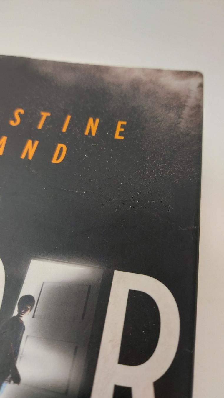 Bücher: DER BRUDER Christine Brand – Gebraucht aus Meisterschwanden von phaus38 2