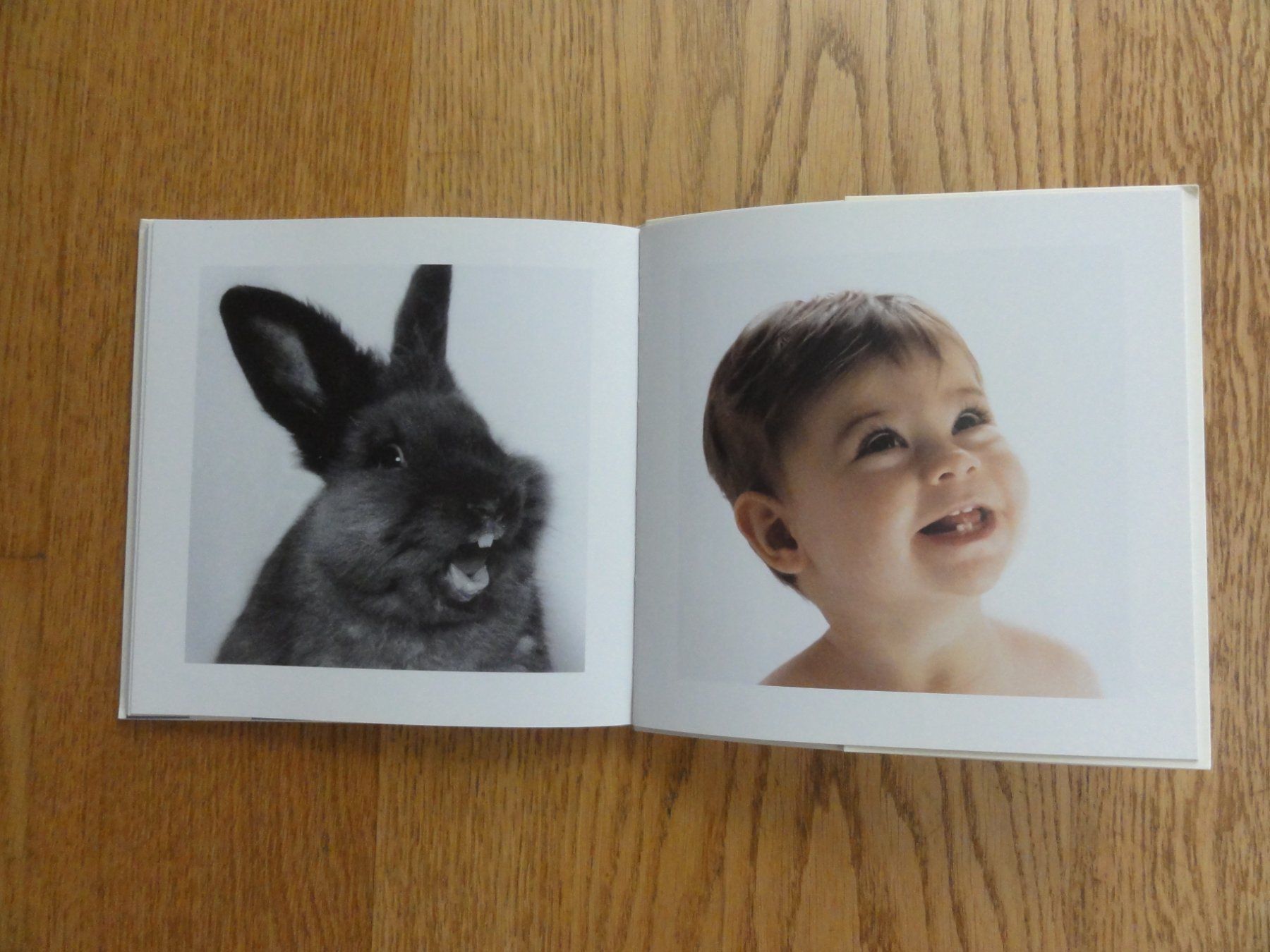 Libri: Kleine Freunde, Fotoband – Usato da Riedholz venduto da Taweva 4