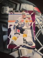Rocco Pezzullo HC Ambri Piotta 2025/26 Sportzoo Pink