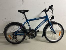 Kinderfahrrad Racer Wolf 20 Zoll blau gebraucht Zustand