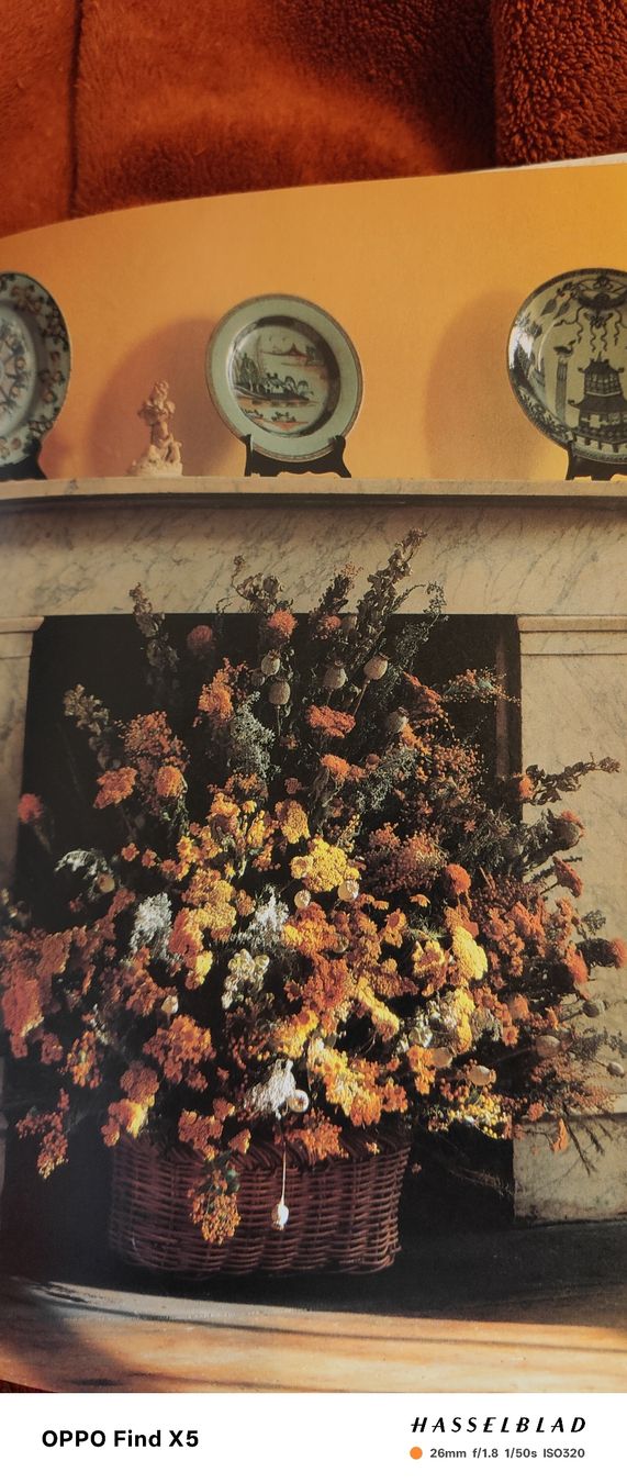 Bücher: Gestalten mit Trockenblumen – Gebraucht aus Volken von katz5 2