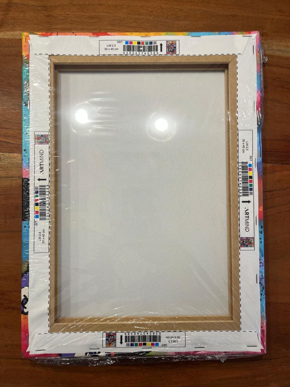 Foto & Immagini: Leinwand Bild Minnie Mouse 30x40cm – Nuovo e nell'imballaggio originale da Kuenten venduto da Ckohler1 1