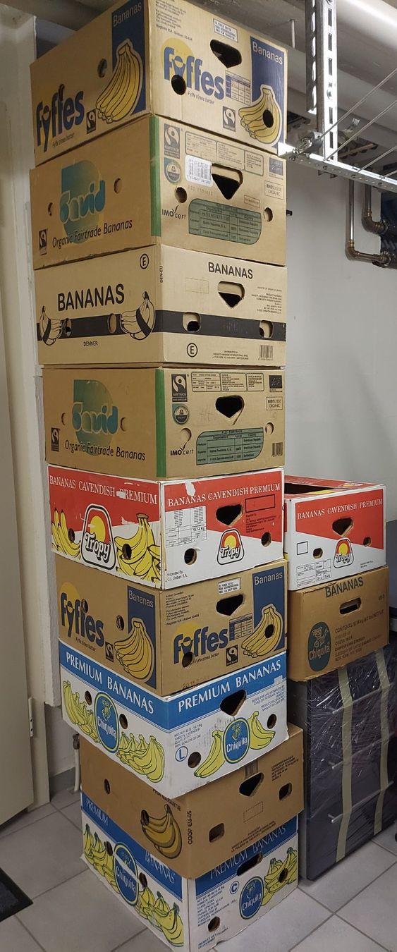 Cartons: Bananenschachteln 10 Stk. – D'occasion à Wetzikon ZH par Dalqadi 1