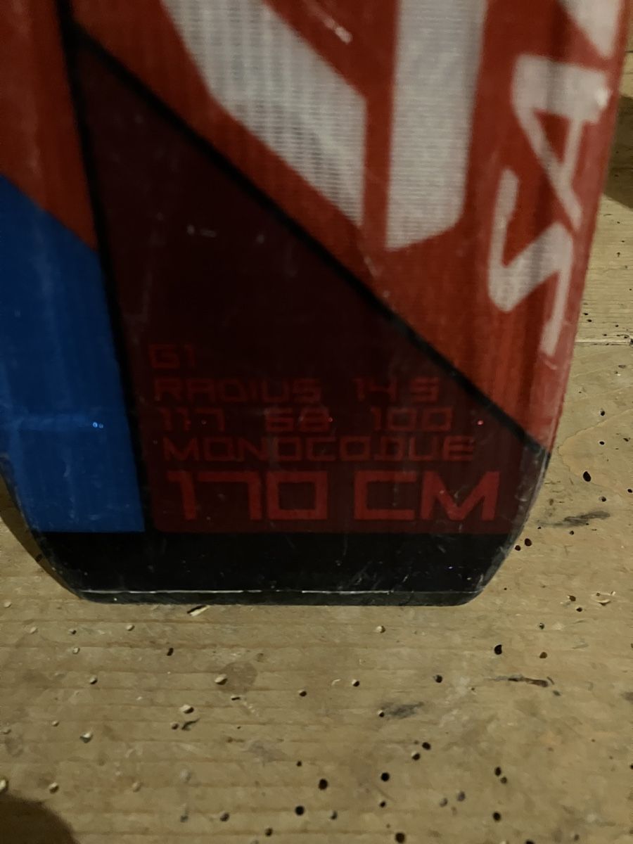 Salomon Sci: Salomon Carving ski – Usato da Hemberg venduto da Plemp 1