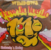Vinyl-Single Windows - How Do You Do