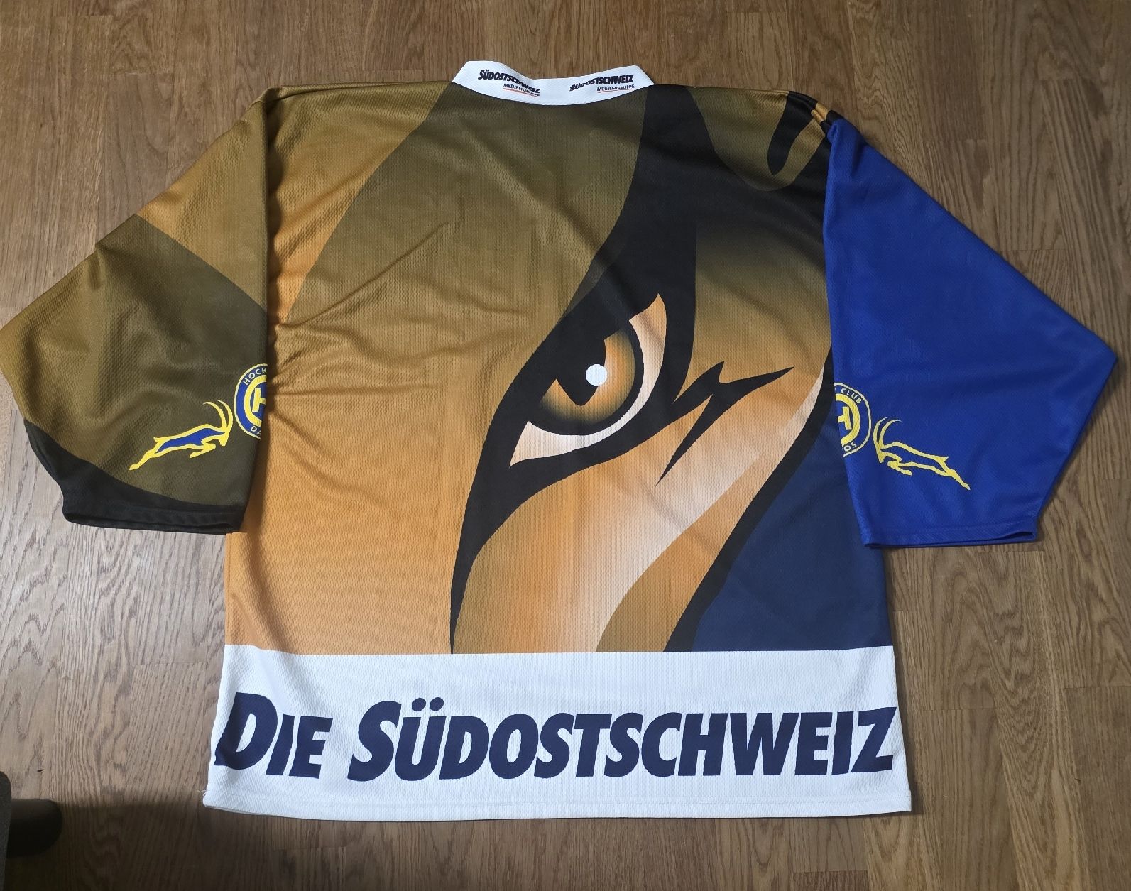 Canottiere & Pantaloni: Warmup Jersey HC Davos HCD – Nuovo (secondo la descrizione) da Kilchberg ZH venduto da BlaugelbeMacht1921 1