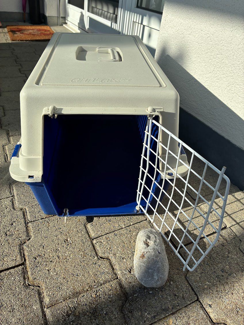 Gabbie, trasporto & Sicurezza: Transportbox/Reisebox für Katze oder kleine Hunde – Usato da Emmenbrücke venduto da cadixchip 2