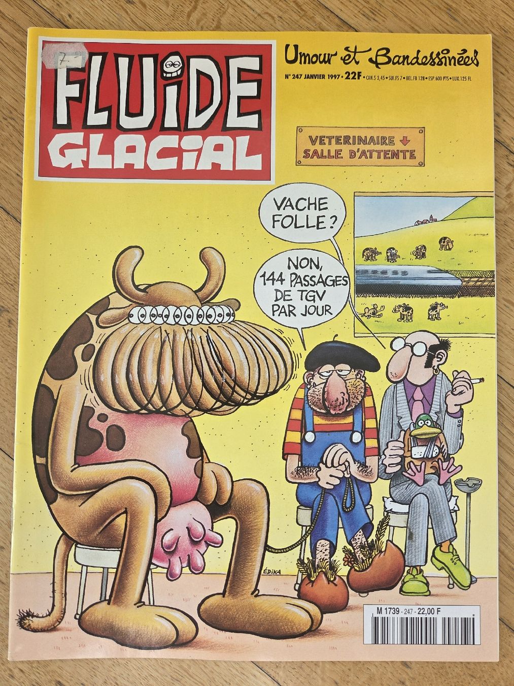 Fumetti: Fluide Glacial N°247 Janvier 1997  – Usato da Territet venduto da Cenh