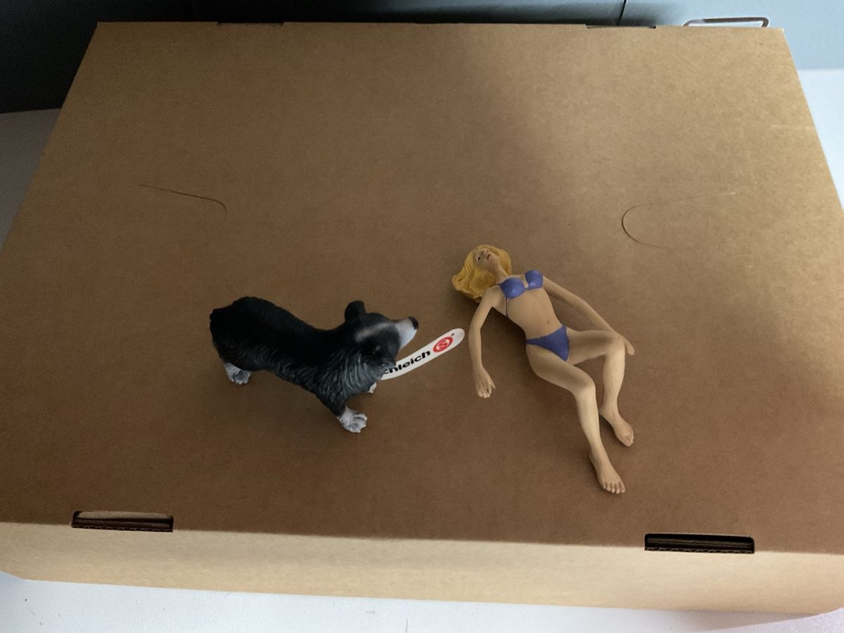 Schleich Giocattoli: Frau im Bikini mit Hund 1:18 – Nuovo (secondo la descrizione) da Nänikon venduto da R_rota