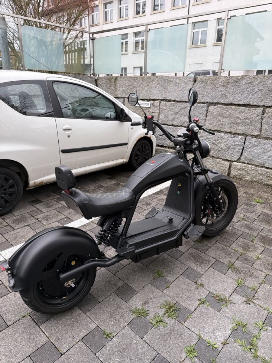 Veicoli elettrici: Cruiser 6.0 – Usato da Menziken venduto da NikollaG 2