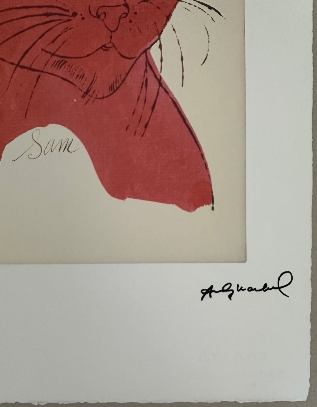 Posters & Illustrations: Warhol: Sam the Cat 35/100 – Neuf (Voir description) à Meilen par Smgdesign 2