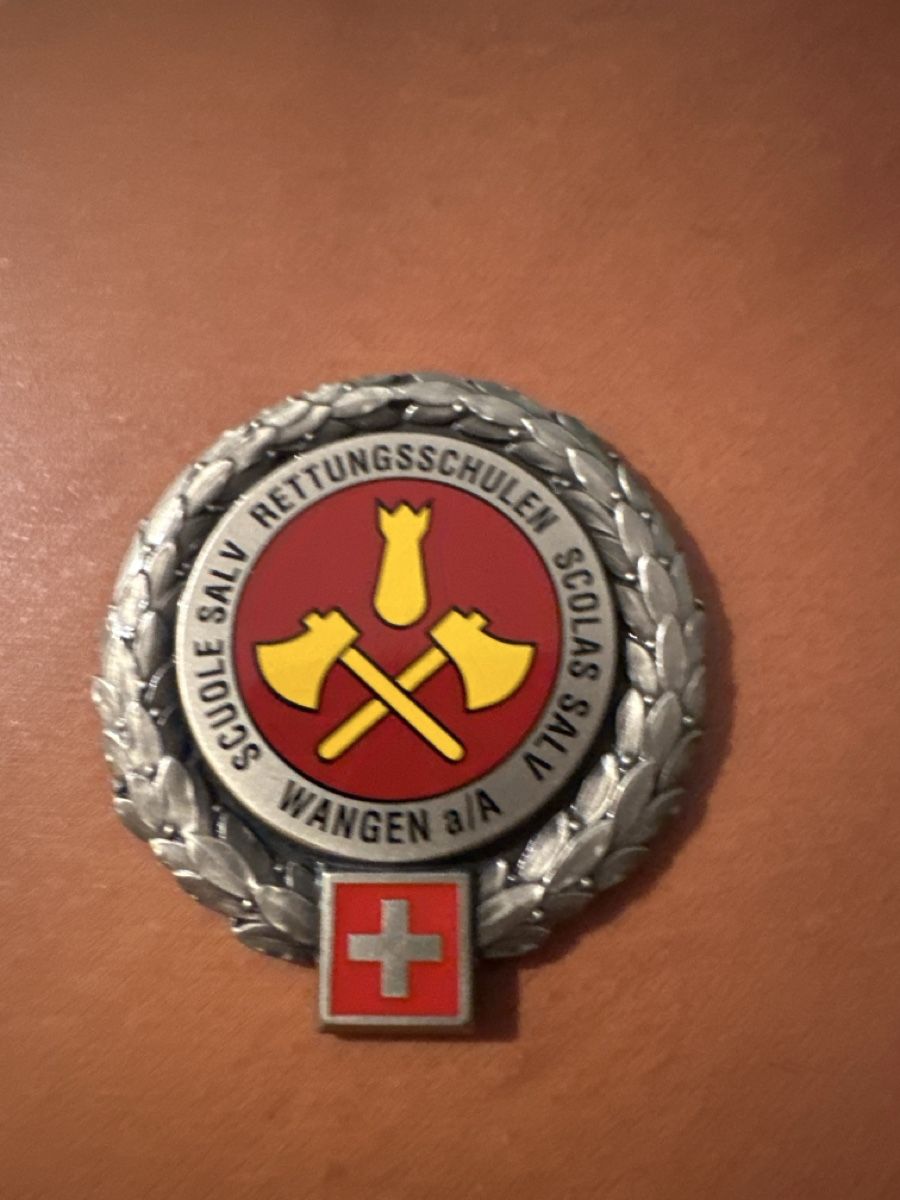 Schweizer Armee Placchette & Badge: Armee – Usato da Morbio Inferiore venduto da Ecod