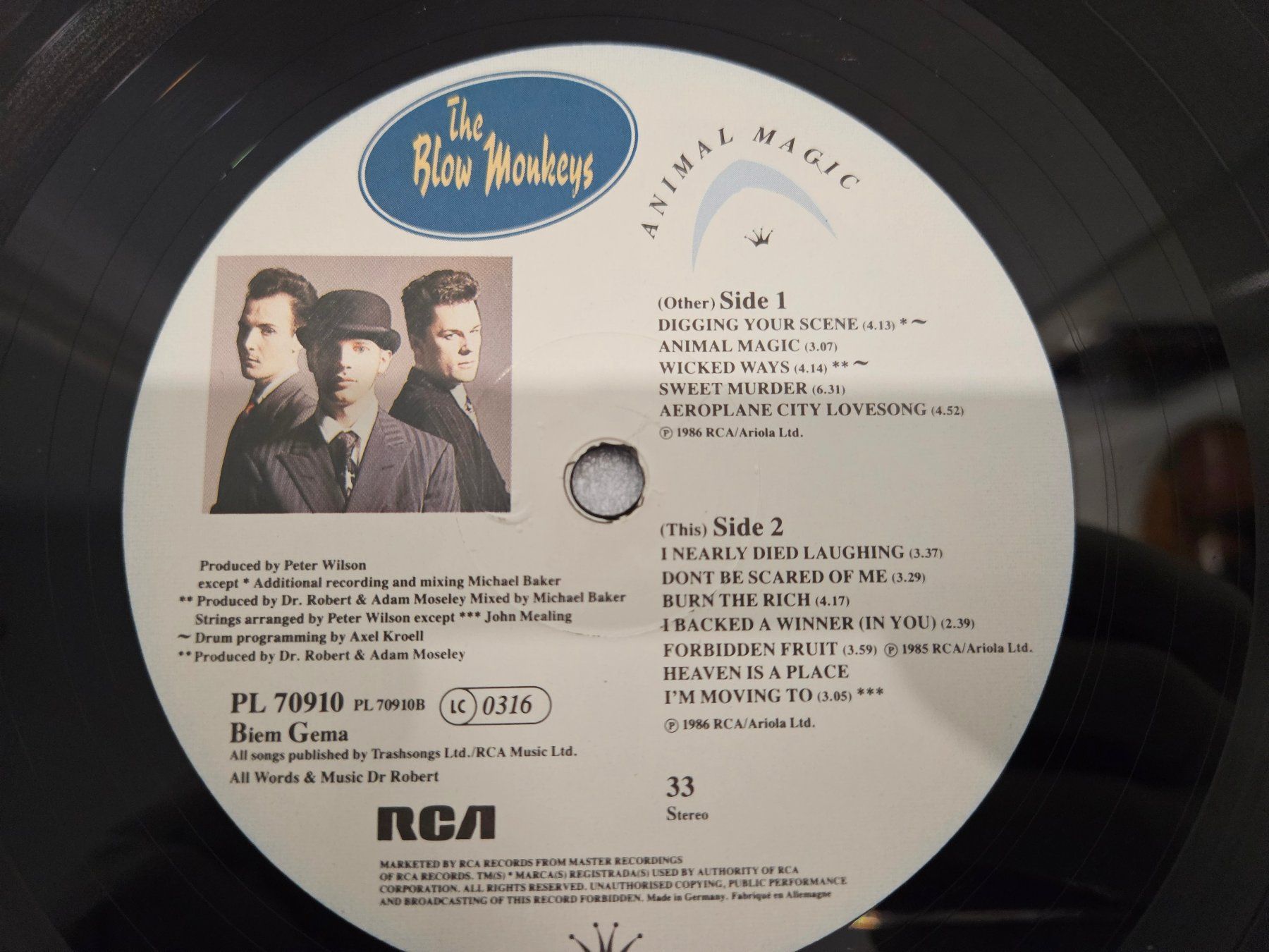 Dischi in vinile: The Blow Monkeys – Animal Magic – Usato da Uster venduto da Vinyl-Leidenschaft 4