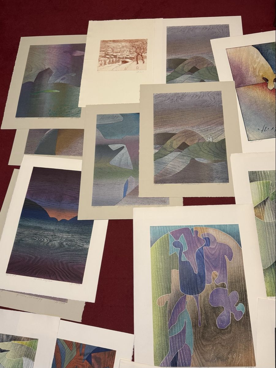 Grafiken & Lithographien: Lithos Hand signiertes Bilder 15 stk.  – Gebraucht aus Schlieren von Freundlich02 6