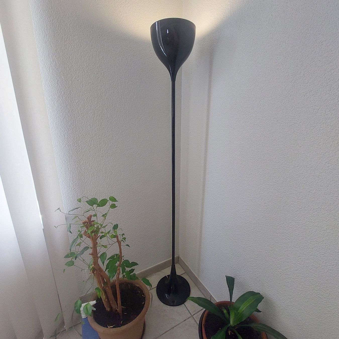 Lampen: Stehlampe schwarz, gut erhalten 160cm – Gebraucht aus Solothurn von Kuma5