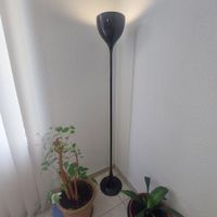 Stehlampe schwarz, gut erhalten 160cm