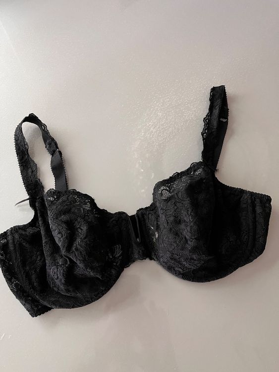 BH's  Prima Donna