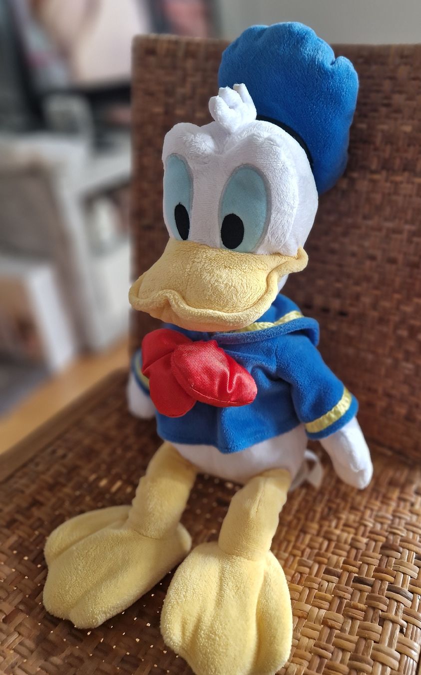 Disney Spielzeuge: Donald Duck Plüschtier Matrose – Gebraucht aus Möhlin von Lyhme94 2